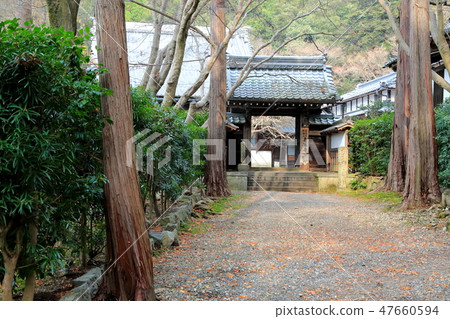 Suako山藍色岸寺.31(滋賀縣Maibara市) Suako山藍色岸寺.31(滋賀縣Maibara市) 47660594