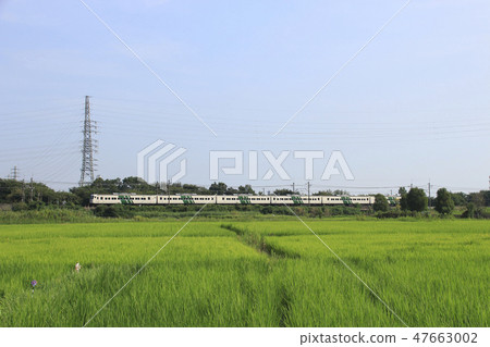 Extraordinary express holiday fast Kamakura issue 47663002