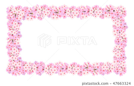 Sakura frame horizontal - Stock Illustration [47663324] - PIXTA