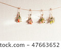 Dry Flower's Garland 47663652