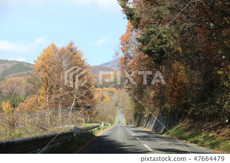 Togakushi Bird Line（長野縣長野市） 47664479