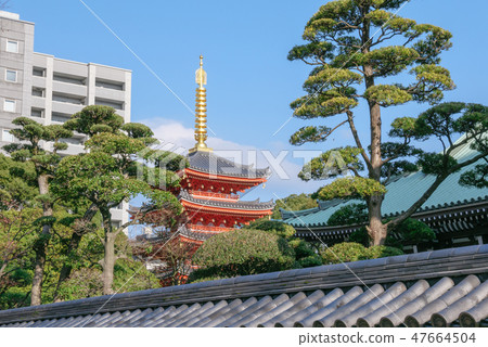Tohoroji Temple Tohoroji Temple 47664504