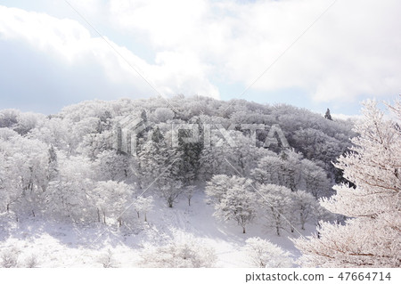 Nara Prefecture, Mimineyama Nara Prefecture, Mimineyama 47664714