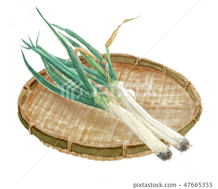 I am long 47665355