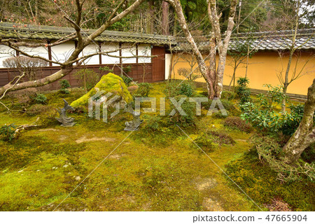 Saige-ji花園 Saige-ji花園 47665904