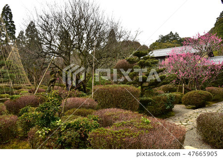 Saige-ji花園 Saige-ji花園 47665905