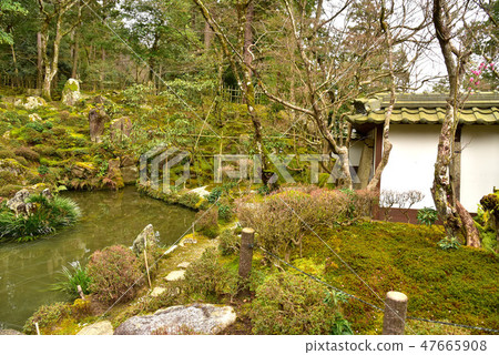 Saige-ji花園 Saige-ji花園 47665908
