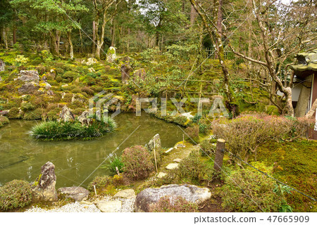 Saige-ji花園 Saige-ji花園 47665909
