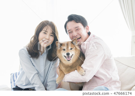 Couple and Shiba Inu portrait Couple and Shiba Inu portrait 47666174