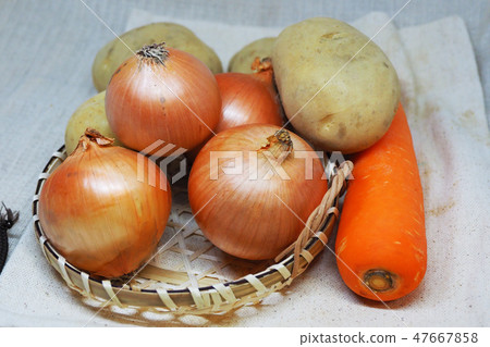 Organic materials (onions, carrots & potatoes: natural texture) 47667858