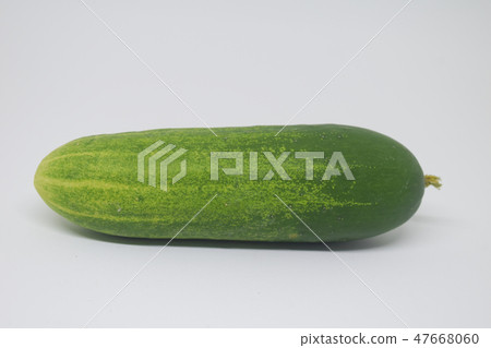 fresh cucumber on white background fresh cucumber on white background 47668060