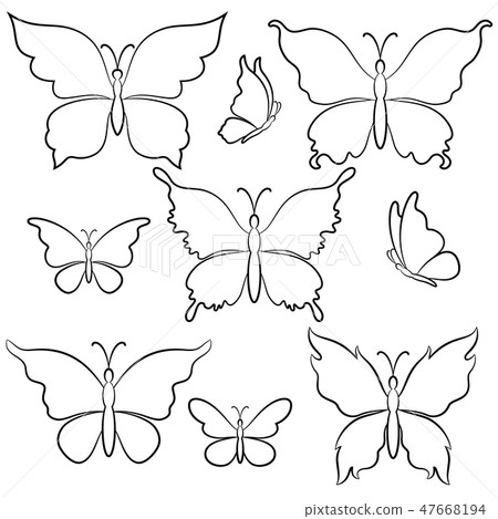 Butterflies Contours Butterflies Contours 47668194