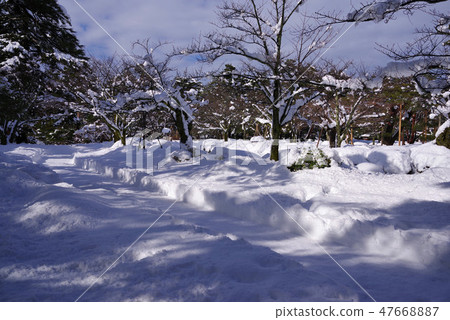 雪景Kenrokuen 雪景Kenrokuen 47668887