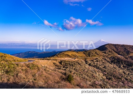 （靜岡縣）從Takumiyama高原到富士山，朝日 47668933