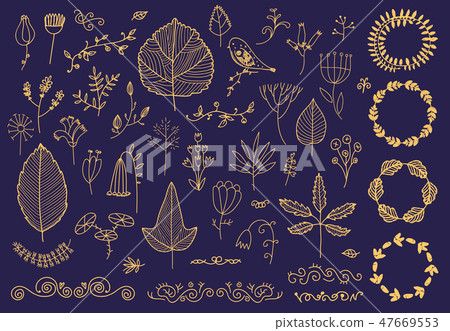 Vector set of hand drawn floral frames, dividers, flowers, leaves. Doodle hand drawn style 47669553