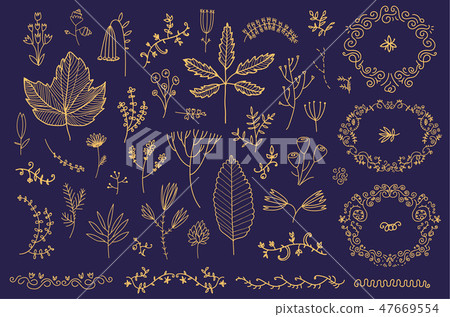 Vector set of hand drawn floral frames, dividers, flowers, leaves. Doodle hand drawn style 47669554