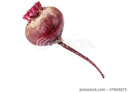 beets on white background beets on white background 47669875