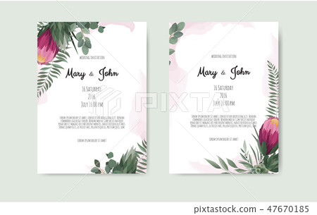 Vector floral botanical card design with leaves with geometrical frame. Protea Flower bouquet. Vector floral botanical card design with leaves with geometrical frame. Protea Flower bouquet. 47670185