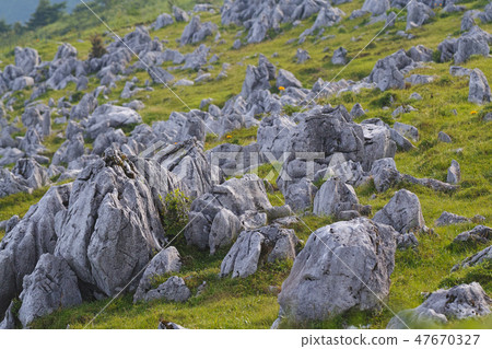 [Ehime/Kochi Prefecture] Shikoku Karst (three major Karsts in Japan) 47670327