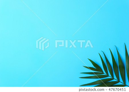 summer vacation, sea shore, tropical beach layout 47670451