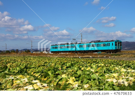 Cabbage field and Wakayama line 105 series 47670633