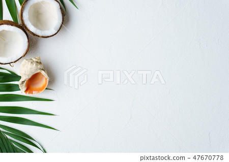 summer tropical background, vacation concept 47670778