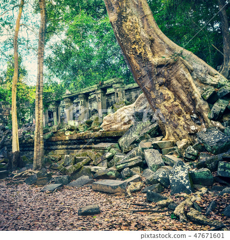 Beng Mealea or Bung Mealea temple. Cambodia 47671601