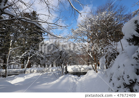 Oyama's snowy landscape Oyama's snowy landscape 47672409