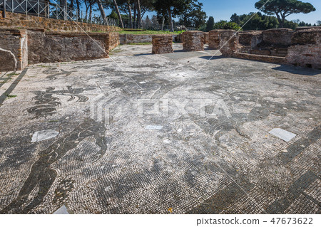 Roman ancient Mosaic floor in the baths, near Rome Roman ancient Mosaic floor in the baths, near Rome 47673622