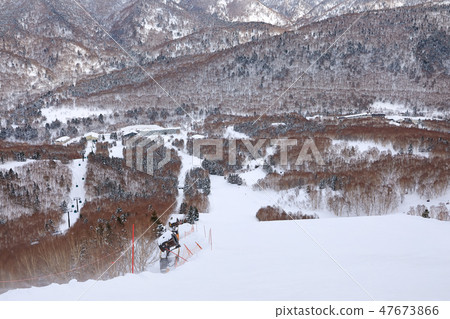 Shiga Kogen in winter 47673866