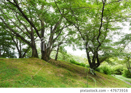 Okayama Okayama 47673916