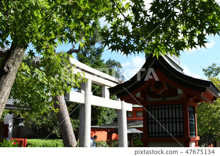 汽車破碎神社 汽車破碎神社 47675134