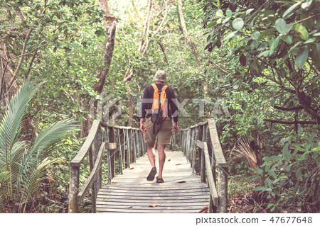 Hike in Costa Rica 47677648