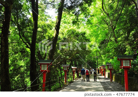 Fresh green trees and worshipers on the approach to Takaoyama Yakuouin (Nature Research Road No. 1) in Hachioji City Fresh green trees and worshipers on the approach to Takaoyama Yakuouin (Nature Research Road No. 1) in Hachioji City 47677774