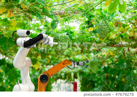 Smart robotic farmers harvest in agriculture 47679278