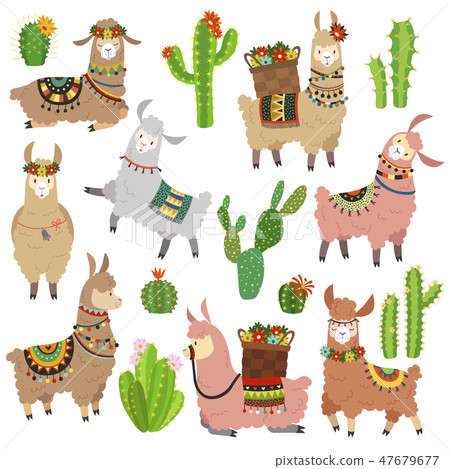 Llama cactus. Chile llamas alpaca and cacti wild lama. Peru camel, girl scrapbook kids funny Llama cactus. Chile llamas alpaca and cacti wild lama. Peru camel, girl scrapbook kids funny 47679677