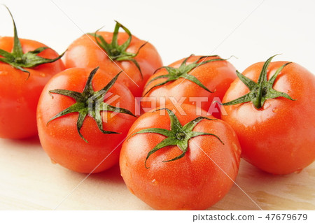 蕃茄 蕃茄 47679679
