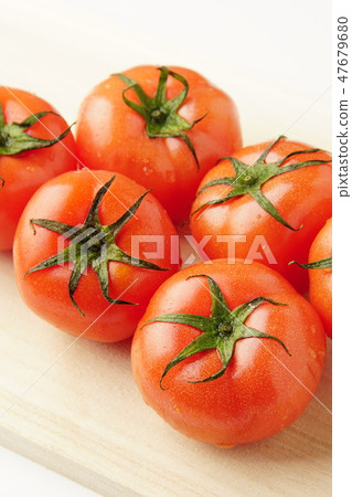 Tomato   47679680