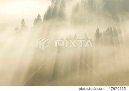 Morning mist's light Satoyama Lightning Chaoyang Morning mist's light Satoyama Lightning Chaoyang 47679835
