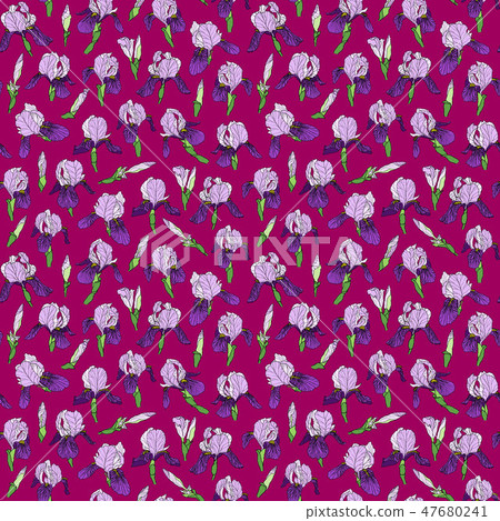 seamless pattern of iris flowers in a linear style seamless pattern of iris flowers in a linear style 47680241