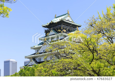 大阪城·大阪城公園·初夏·清新的綠色 大阪城·大阪城公園·初夏·清新的綠色 47683027