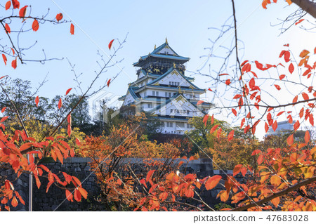 大阪城·大阪城公園·秋天·秋葉 47683028