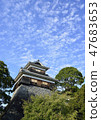 Unknown for Kumamoto Castle 47683653