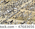 Wintering crane of Izumi City 47683656