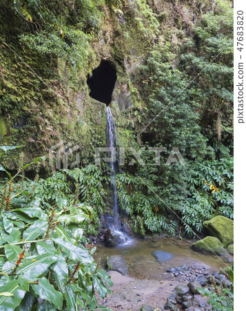 Waterfall cascade falling from rock cave covered by moss and lush vegetation on hiking trail Janela 47683820