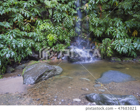 Waterfall cascade falling on stone and lush vegetation on hiking trail Janela do inferno, in 47683821