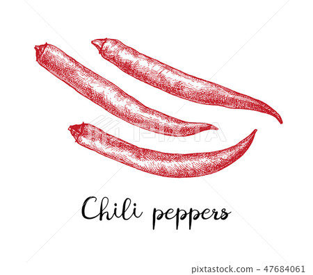 Ink sketch of chile peppers. 47684061