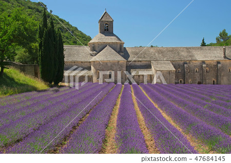 Senanque Abbey (Provence, France) Senanque Abbey (Provence, France) 47684145
