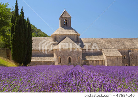 Senanque Abbey (Provence, France) Senanque Abbey (Provence, France) 47684146