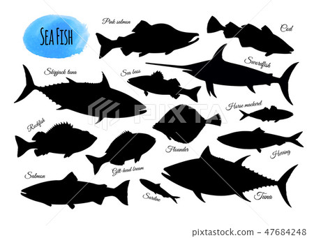 Big set of fish silhouettes. 47684248